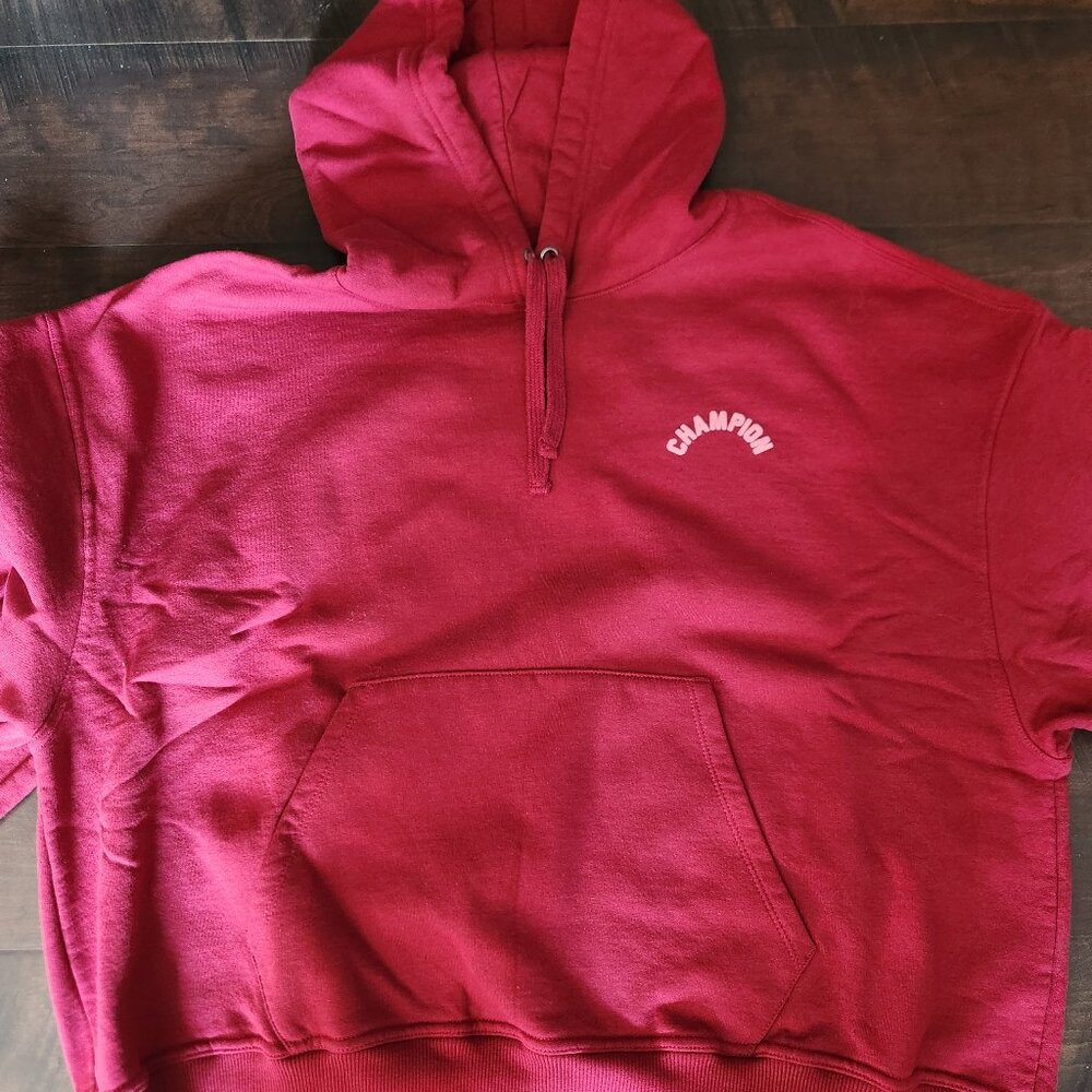 Champion cropped hoodie